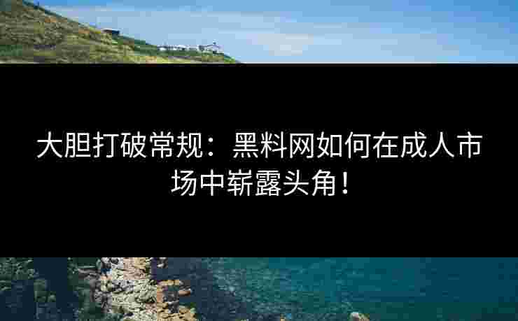 大胆打破常规：黑料网如何在成人市场中崭露头角！