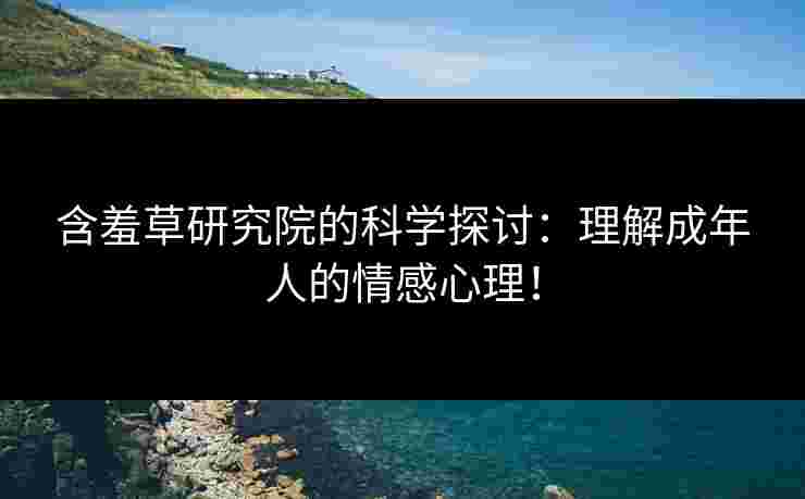 含羞草研究院的科学探讨：理解成年人的情感心理！